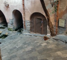 Чефалý сам себе голова