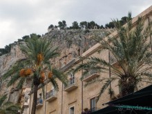 Чефалý сам себе голова