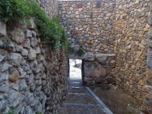 Чефалý сам себе голова