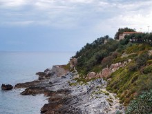 Чефалý сам себе голова