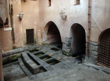 Чефалý сам себе голова