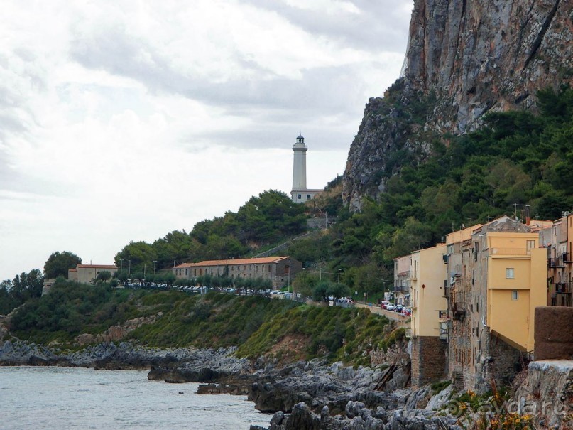 Чефалý сам себе голова