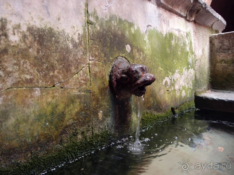 Чефалý сам себе голова