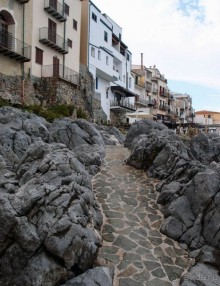 Чефалý сам себе голова