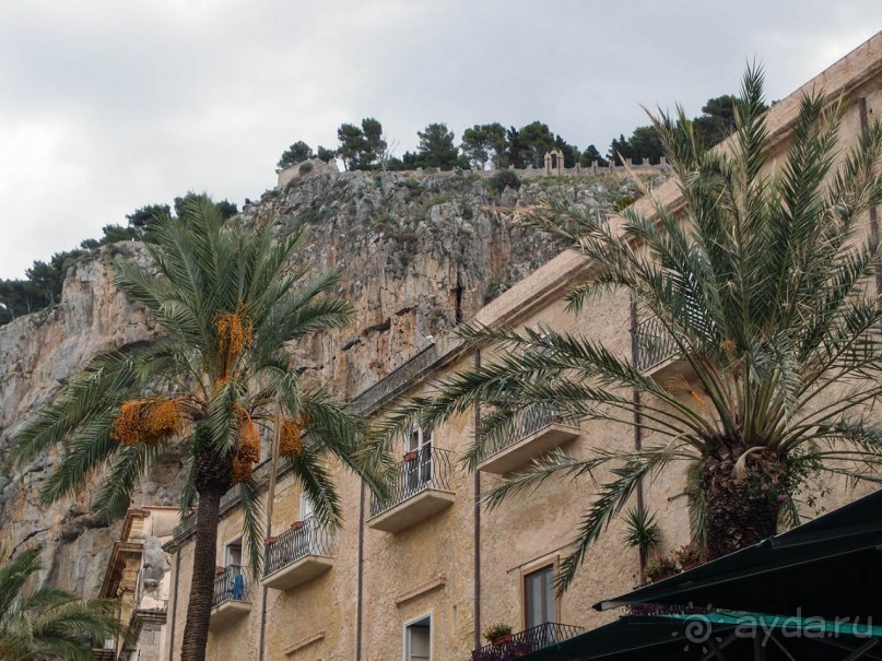 Чефалý сам себе голова