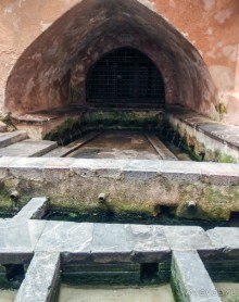 Чефалý сам себе голова