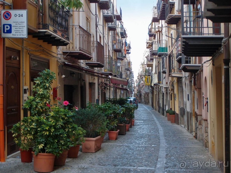 Чефалý сам себе голова