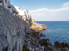 Чефалý сам себе голова