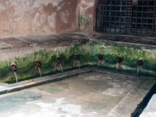 Чефалý сам себе голова