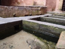 Чефалý сам себе голова