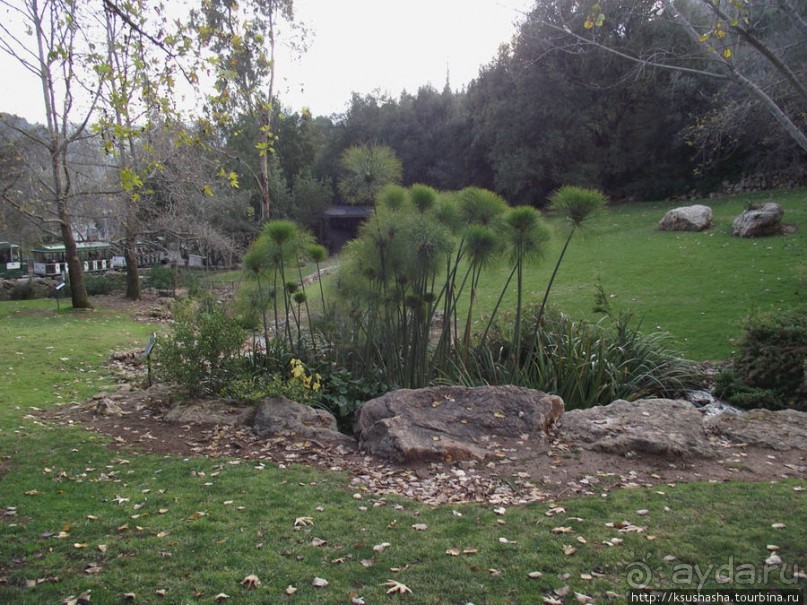 Зоопарк в Иерусалиме