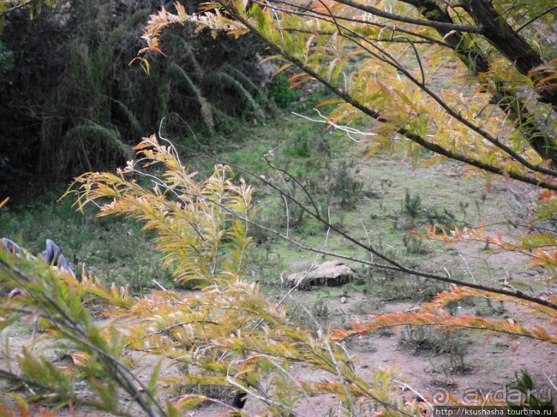 Зоопарк в Иерусалиме