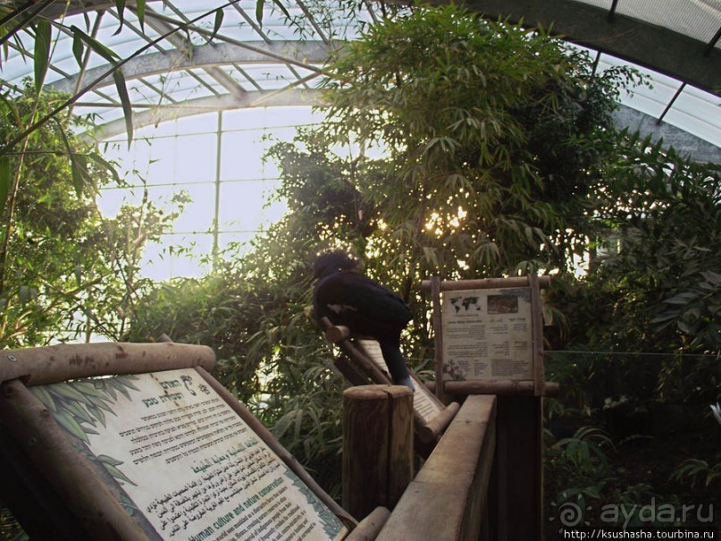 Зоопарк в Иерусалиме