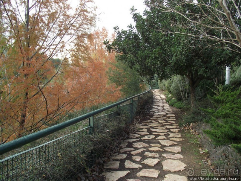 Зоопарк в Иерусалиме