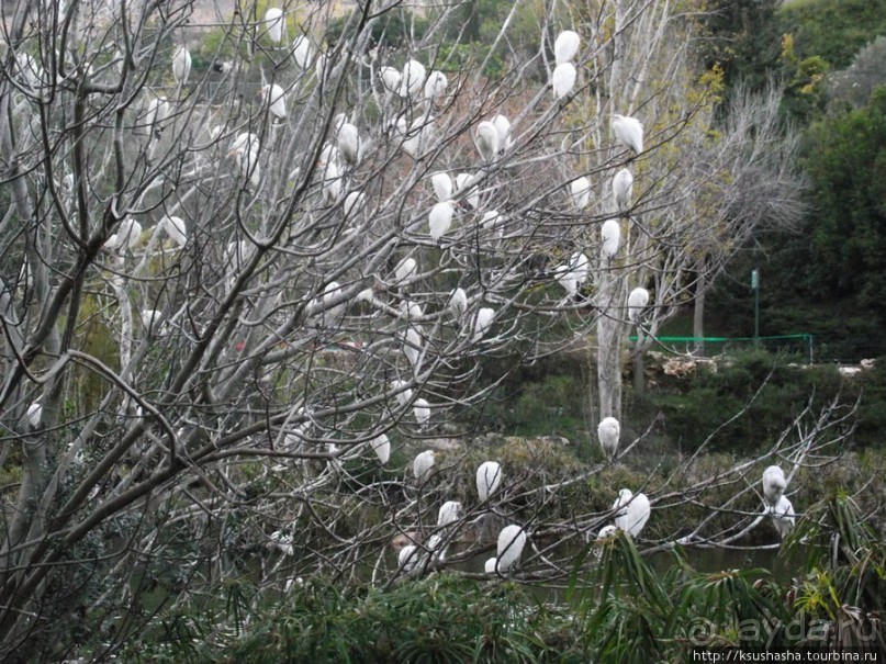 Зоопарк в Иерусалиме