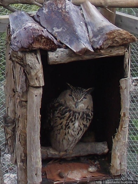 Зоопарк в Иерусалиме