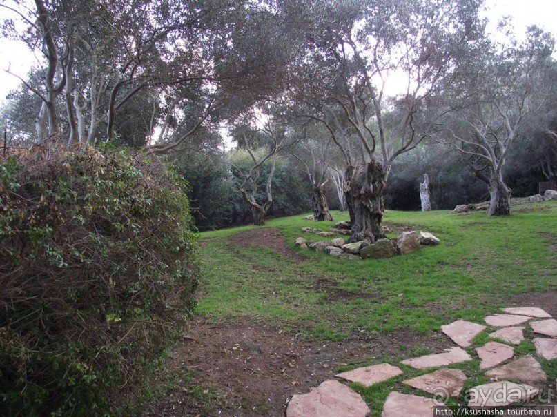 Зоопарк в Иерусалиме