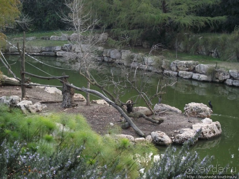 Зоопарк в Иерусалиме