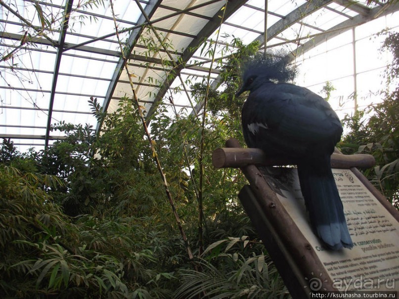 Зоопарк в Иерусалиме