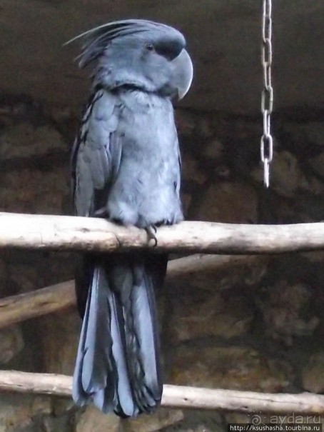 Зоопарк в Иерусалиме