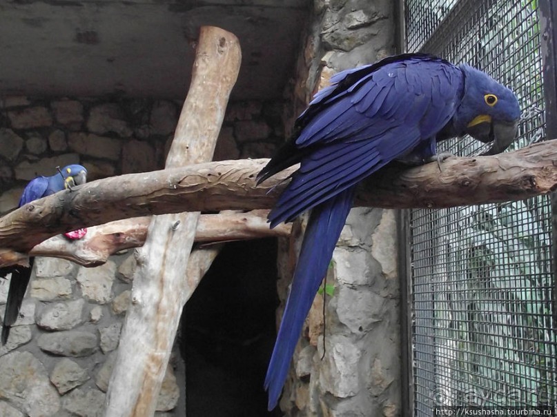 Зоопарк в Иерусалиме