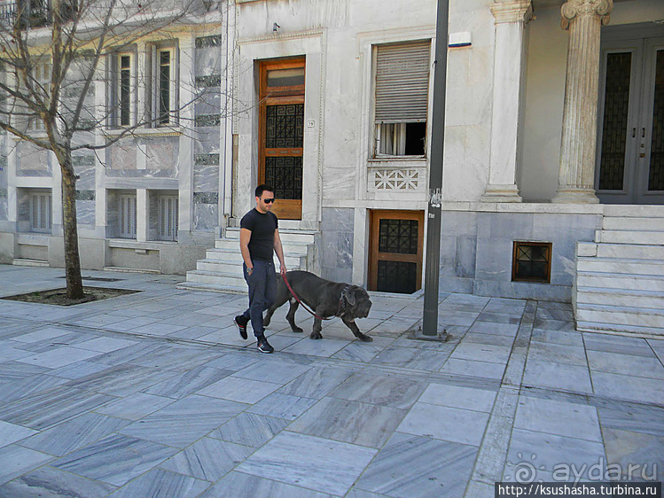 Альбом отзыва "Афинские прогулки (ч.1) Улица Диониссия"
