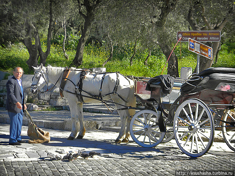 Афинские прогулки (ч.1) Улица Диониссия
