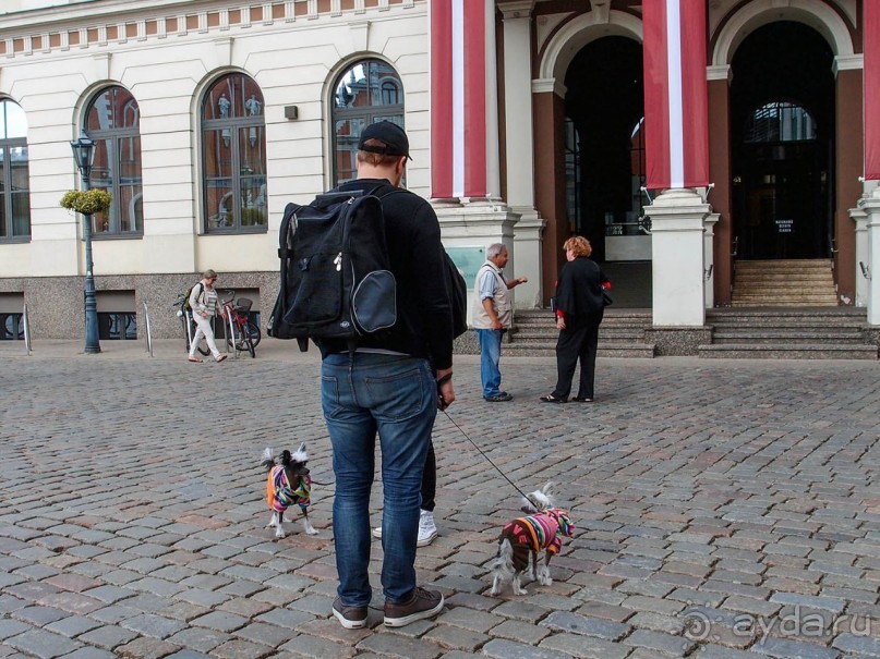 В симбиозе с прошлым