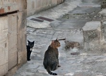 Изнанка неба