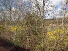 Готический шедевр Амьена