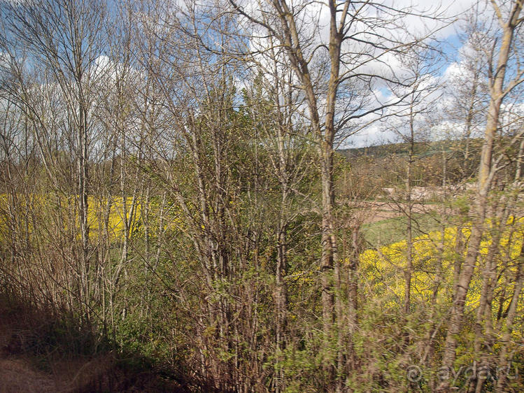 Готический шедевр Амьена