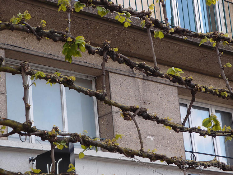 Готический шедевр Амьена