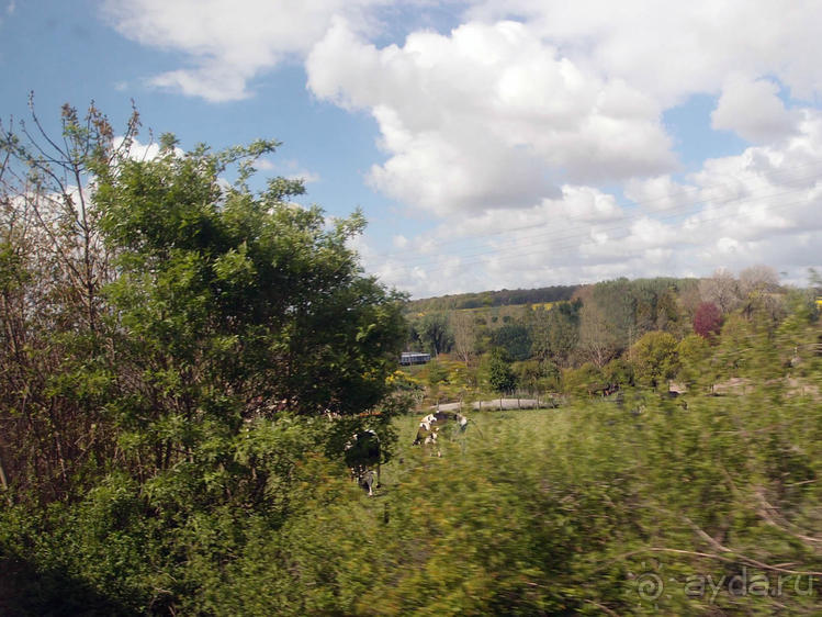 Готический шедевр Амьена