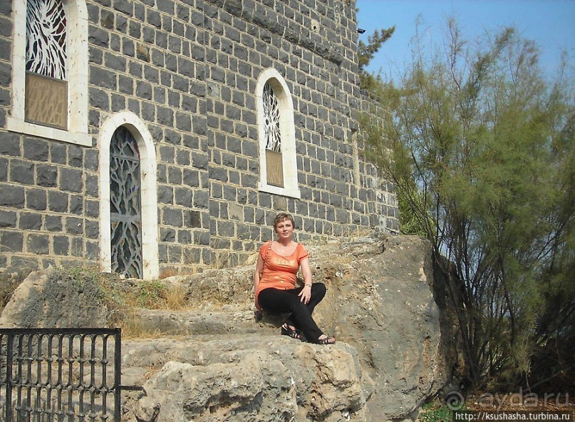 Паси овец Моих