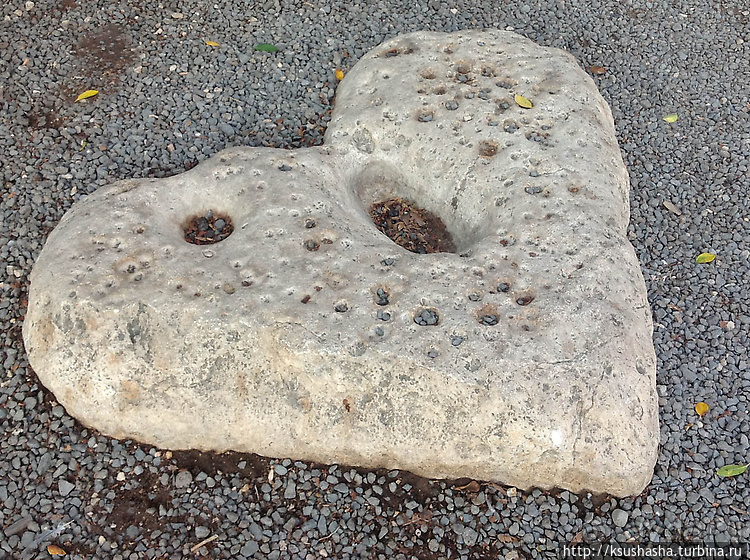 Паси овец Моих