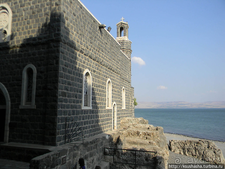 Паси овец Моих