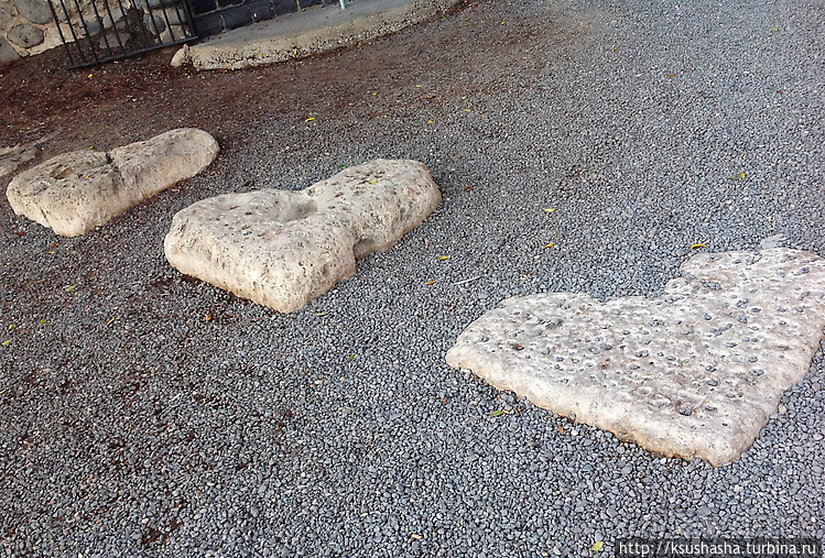 Паси овец Моих