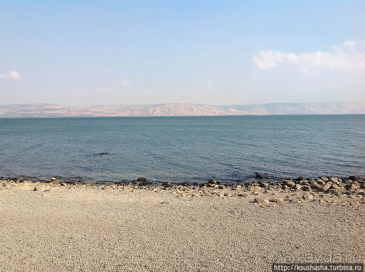 Паси овец Моих