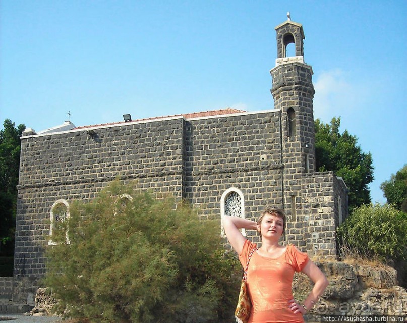 Паси овец Моих