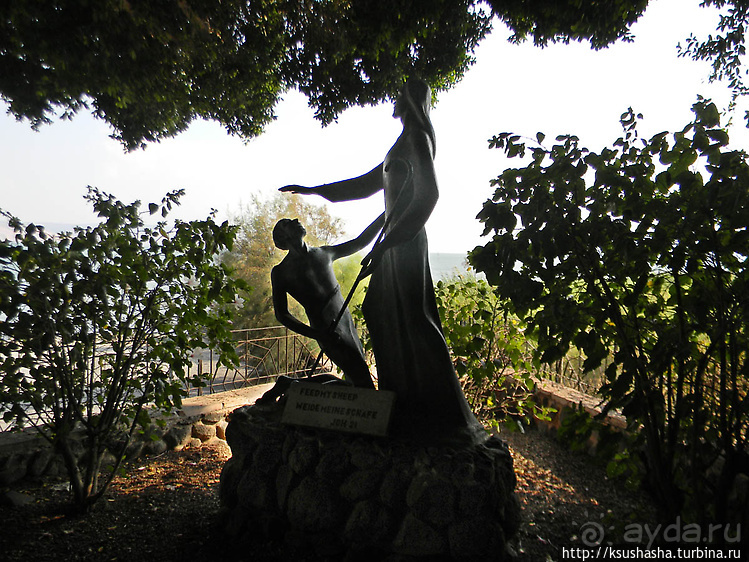 Паси овец Моих