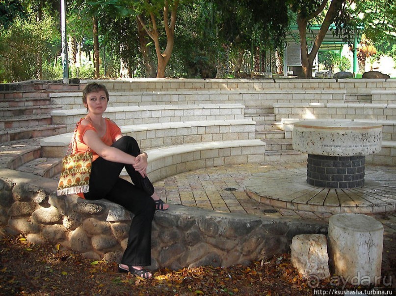 Паси овец Моих