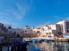 Монóполи. Единственный и неповторимый