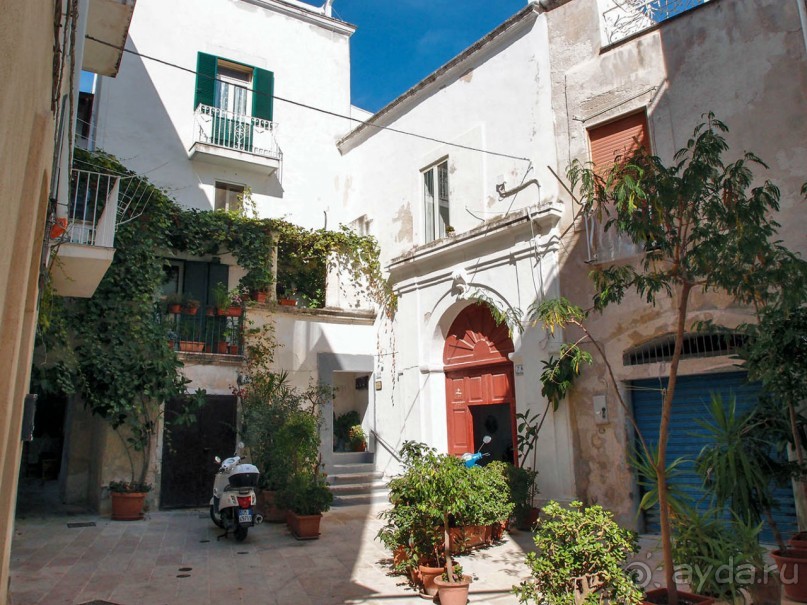 фото Монополи