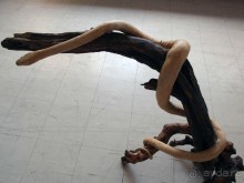 Выставка живых насекомых и рептилий