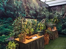 Выставка живых насекомых и рептилий