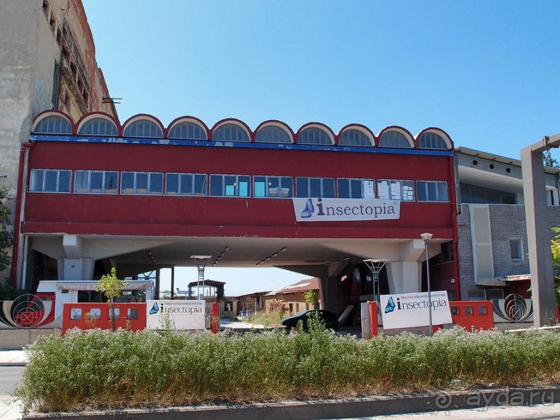 Выставка живых насекомых и рептилий