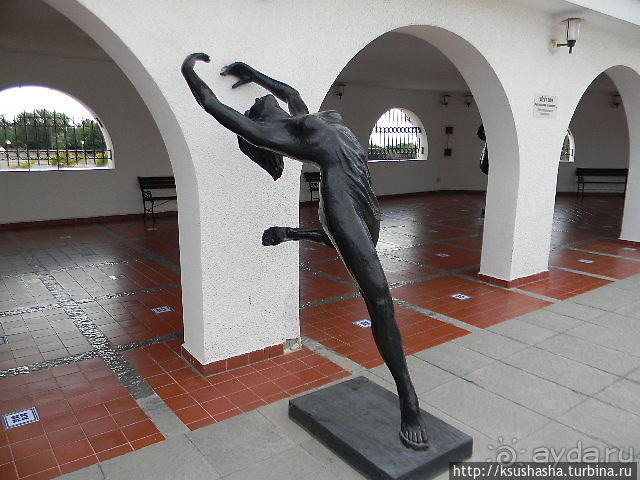 Музей Ралли к автогонкам отношения не имеет