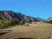 Страна не из "моего списка"