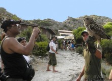 В гости к орлам на фуникулёре