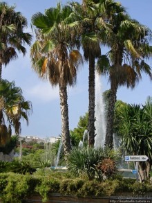 В гости к орлам на фуникулёре